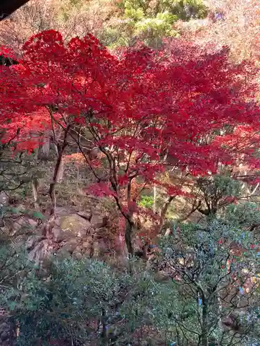 最乗寺（道了尊）(神奈川県)