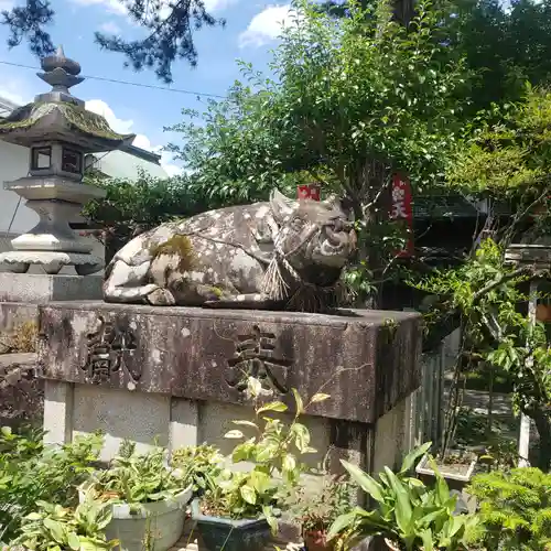 天満宮 北野神社の狛犬