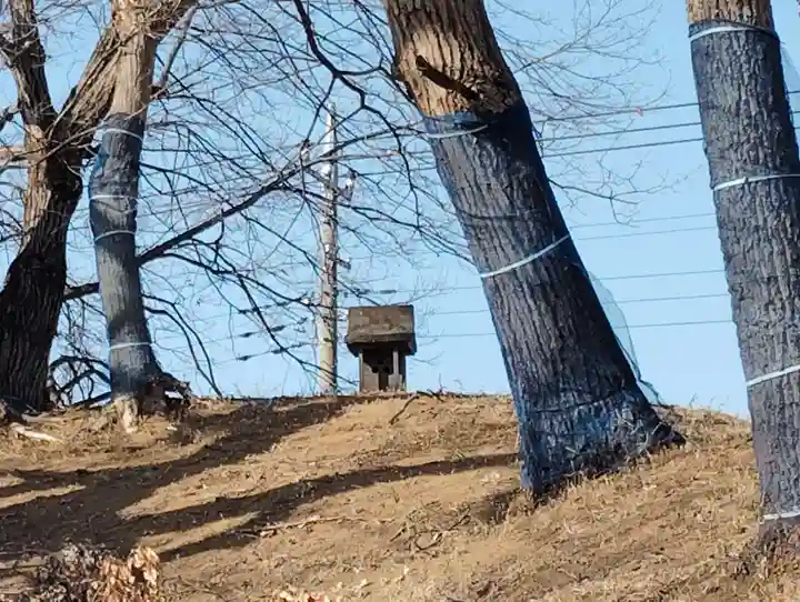 山王山古墳(群馬県)