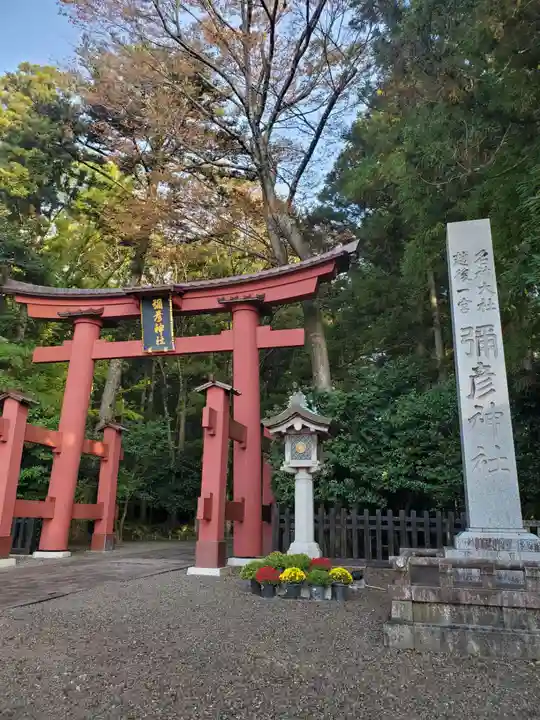 彌彦神社(新潟県)