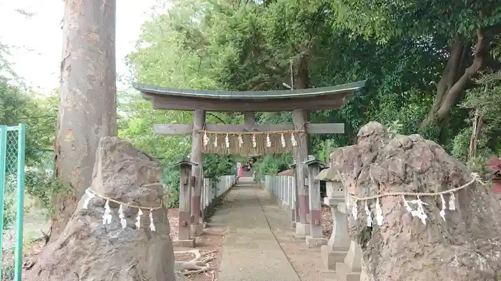 馬場氷川神社の鳥居