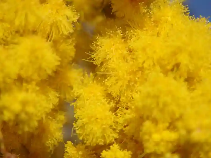 三毳不動尊(栃木県)