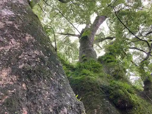 藤白神社(和歌山県)