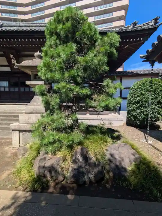 泊船軒(東京都)