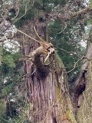 高岡神社(岡山県)