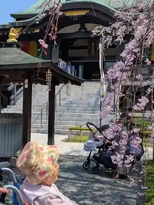 宝勝山　南藏院   蓮光寺(東京都)