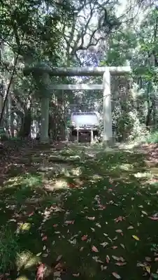 甲頭稲荷神社の鳥居