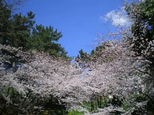 光雲神社の自然