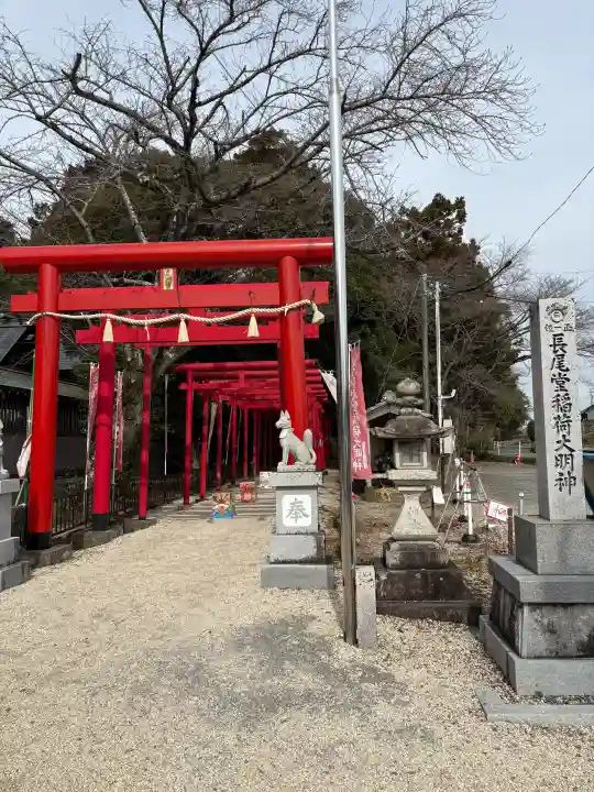 金井神社の{uncategorized: "未分類", other: "その他", undefined: "問題あり", building: "その他建物", grave: "お墓", sacred_gate: "鳥居", guardian: "狛犬", statue: "像", buddha: "仏像", history: "歴史", nature: "自然", garden: "庭園", animal: "動物", pagoda: "塔", temizu: "手水舎", mountain_gate: "山門・神門", sanctuary: "本殿・本堂", subordinate: "末社・摂社", art: "芸術", scenery: "景色", jizo: "地蔵", ema: "絵馬", goshuin: "御朱印", omikuji: "おみくじ", items: "授与品その他", amulet: "お守り", goshuincho: "御朱印帳", eats: "食事", festival: "お祭り", votive_dance: "神楽", shichigosan: "七五三参", wedding: "結婚式", experience: "体験その他", initially: "初詣", around: "周辺", anti_infection: "感染症対策"}