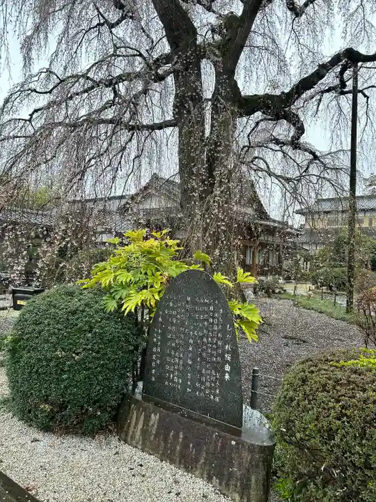 阿弥陀寺のその他建物