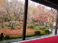 圓光寺の庭園