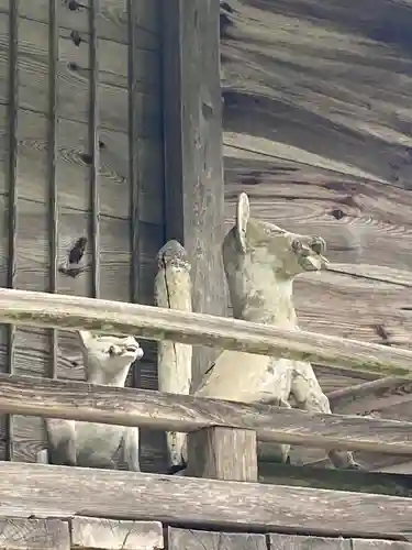 備中高梁稲荷神社の狛犬