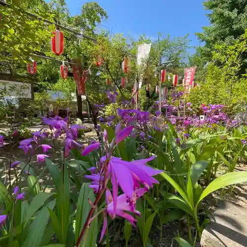 観音院(埼玉県)