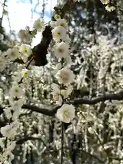 城南宮(京都府)