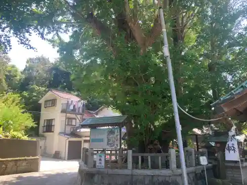 海南神社(神奈川県)