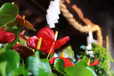 三津厳島神社(愛媛県)