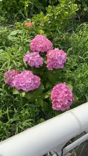 性海寺(愛知県)