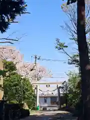 星川杉山神社(神奈川県)