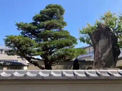 温泉寺(静岡県)