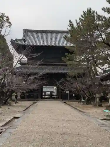 大樹寺（松安院大樹寺）の山門・神門
