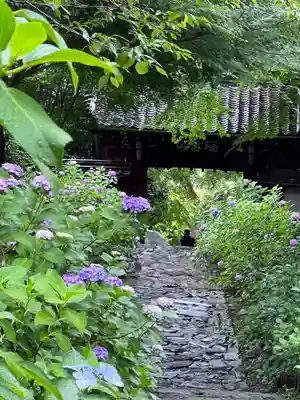 本光寺の山門・神門