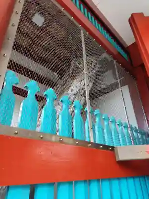 井戸寺(徳島県)