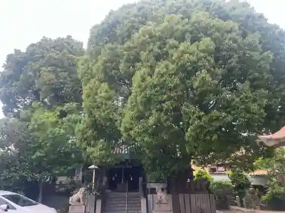 月洲神社の{uncategorized: "未分類", other: "その他", undefined: "問題あり", building: "その他建物", grave: "お墓", sacred_gate: "鳥居", guardian: "狛犬", statue: "像", buddha: "仏像", history: "歴史", nature: "自然", garden: "庭園", animal: "動物", pagoda: "塔", temizu: "手水舎", mountain_gate: "山門・神門", sanctuary: "本殿・本堂", subordinate: "末社・摂社", art: "芸術", scenery: "景色", jizo: "地蔵", ema: "絵馬", goshuin: "御朱印", omikuji: "おみくじ", items: "授与品その他", amulet: "お守り", goshuincho: "御朱印帳", eats: "食事", festival: "お祭り", votive_dance: "神楽", shichigosan: "七五三参", wedding: "結婚式", experience: "体験その他", initially: "初詣", around: "周辺", anti_infection: "感染症対策"}