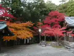 西明寺(滋賀県)