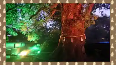 上野東照宮(東京都)