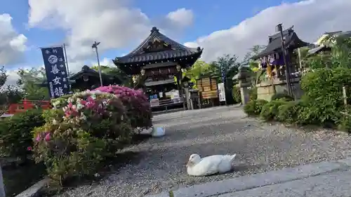 神泉苑(京都府)