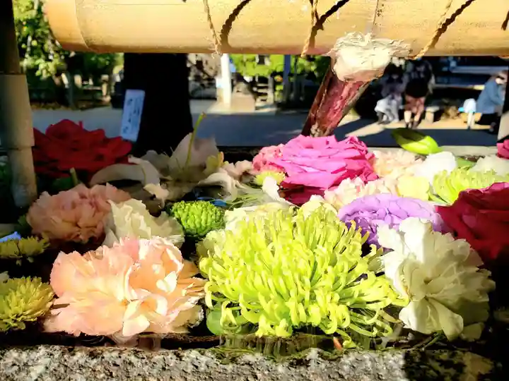 鳩森八幡神社の手水舎