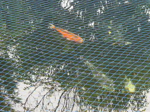 栗橋八坂神社(埼玉県)