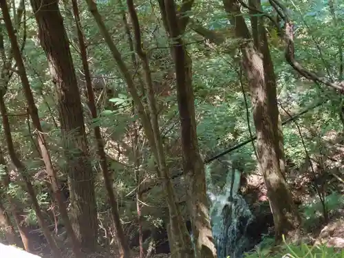 大嶽山那賀都神社の自然