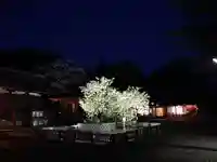 上地八幡宮の自然