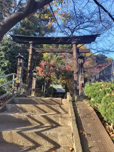 鶴ヶ丸八幡神社(埼玉県)
