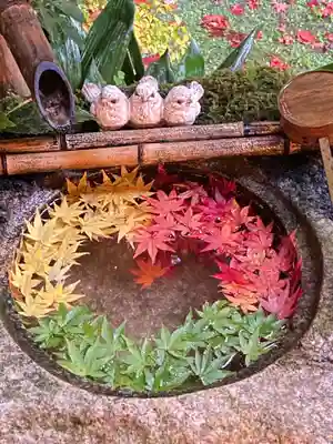 柳谷観音 楊谷寺の手水舎