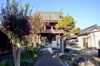 道智山 遍照院の山門・神門