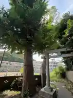 芝守稲荷神社の{uncategorized: "未分類", other: "その他", undefined: "問題あり", building: "その他建物", grave: "お墓", sacred_gate: "鳥居", guardian: "狛犬", statue: "像", buddha: "仏像", history: "歴史", nature: "自然", garden: "庭園", animal: "動物", pagoda: "塔", temizu: "手水舎", mountain_gate: "山門・神門", sanctuary: "本殿・本堂", subordinate: "末社・摂社", art: "芸術", scenery: "景色", jizo: "地蔵", ema: "絵馬", goshuin: "御朱印", omikuji: "おみくじ", items: "授与品その他", amulet: "お守り", goshuincho: "御朱印帳", eats: "食事", festival: "お祭り", votive_dance: "神楽", shichigosan: "七五三参", wedding: "結婚式", experience: "体験その他", initially: "初詣", around: "周辺", anti_infection: "感染症対策"}