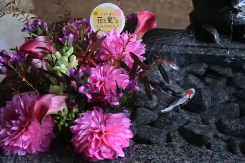 滑川神社 - 仕事と子どもの守り神の手水舎