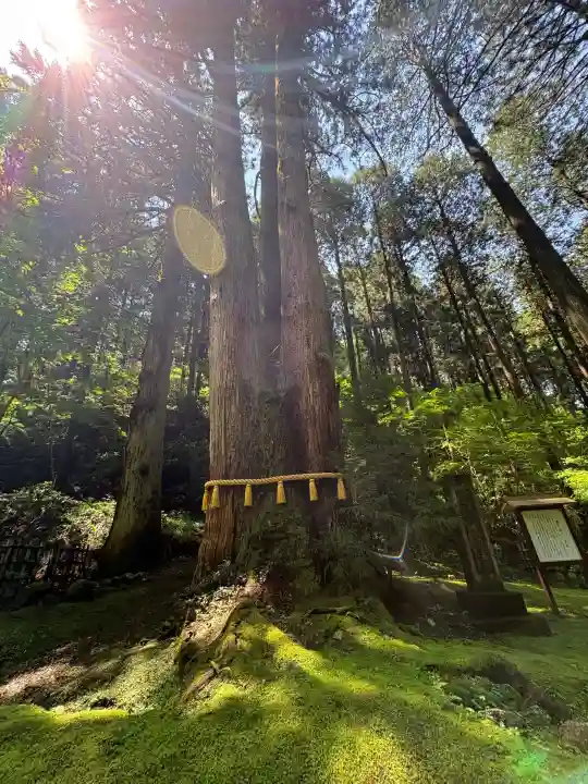 御岩神社の{uncategorized: "未分類", other: "その他", undefined: "問題あり", building: "その他建物", grave: "お墓", sacred_gate: "鳥居", guardian: "狛犬", statue: "像", buddha: "仏像", history: "歴史", nature: "自然", garden: "庭園", animal: "動物", pagoda: "塔", temizu: "手水舎", mountain_gate: "山門・神門", sanctuary: "本殿・本堂", subordinate: "末社・摂社", art: "芸術", scenery: "景色", jizo: "地蔵", ema: "絵馬", goshuin: "御朱印", omikuji: "おみくじ", items: "授与品その他", amulet: "お守り", goshuincho: "御朱印帳", eats: "食事", festival: "お祭り", votive_dance: "神楽", shichigosan: "七五三参", wedding: "結婚式", experience: "体験その他", initially: "初詣", around: "周辺", anti_infection: "感染症対策"}