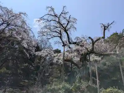 紹太寺(神奈川県)