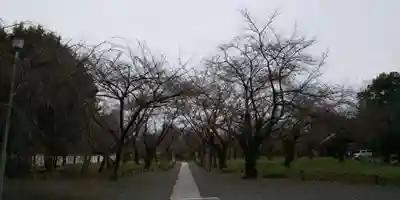 平野神社(京都府)