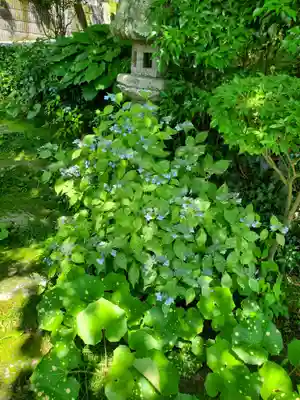 長命寺(福島県)