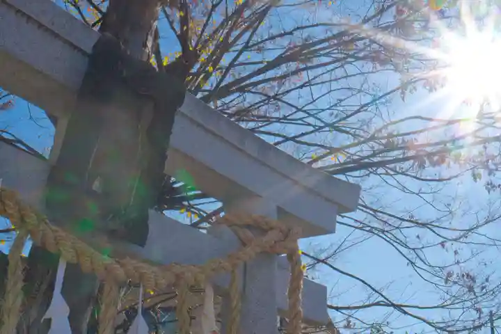 三輪神社(長野県)