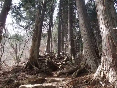 武蔵御嶽神社奥の院の自然