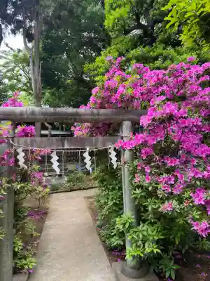 鳩森八幡神社の{uncategorized: "未分類", other: "その他", undefined: "問題あり", building: "その他建物", grave: "お墓", sacred_gate: "鳥居", guardian: "狛犬", statue: "像", buddha: "仏像", history: "歴史", nature: "自然", garden: "庭園", animal: "動物", pagoda: "塔", temizu: "手水舎", mountain_gate: "山門・神門", sanctuary: "本殿・本堂", subordinate: "末社・摂社", art: "芸術", scenery: "景色", jizo: "地蔵", ema: "絵馬", goshuin: "御朱印", omikuji: "おみくじ", items: "授与品その他", amulet: "お守り", goshuincho: "御朱印帳", eats: "食事", festival: "お祭り", votive_dance: "神楽", shichigosan: "七五三参", wedding: "結婚式", experience: "体験その他", initially: "初詣", around: "周辺", anti_infection: "感染症対策"}