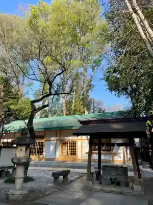 小金井神社の{uncategorized: "未分類", other: "その他", undefined: "問題あり", building: "その他建物", grave: "お墓", sacred_gate: "鳥居", guardian: "狛犬", statue: "像", buddha: "仏像", history: "歴史", nature: "自然", garden: "庭園", animal: "動物", pagoda: "塔", temizu: "手水舎", mountain_gate: "山門・神門", sanctuary: "本殿・本堂", subordinate: "末社・摂社", art: "芸術", scenery: "景色", jizo: "地蔵", ema: "絵馬", goshuin: "御朱印", omikuji: "おみくじ", items: "授与品その他", amulet: "お守り", goshuincho: "御朱印帳", eats: "食事", festival: "お祭り", votive_dance: "神楽", shichigosan: "七五三参", wedding: "結婚式", experience: "体験その他", initially: "初詣", around: "周辺", anti_infection: "感染症対策"}