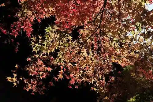 播州清水寺(兵庫県)