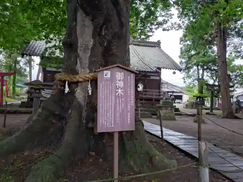 白鳥神社(長野県)