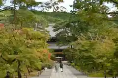 南禅寺の建物その他